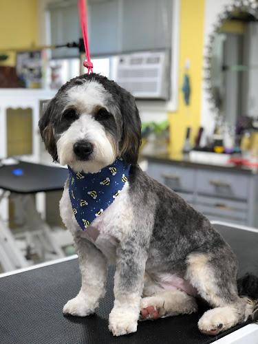 Fluffy’s Dog Grooming