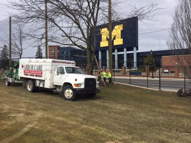 Arbor Care Tree Surgeons