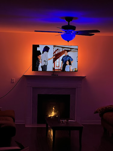 Concealed Security Systems