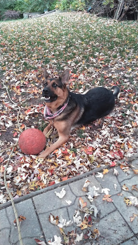 Washtenaw Veterinary Hospital