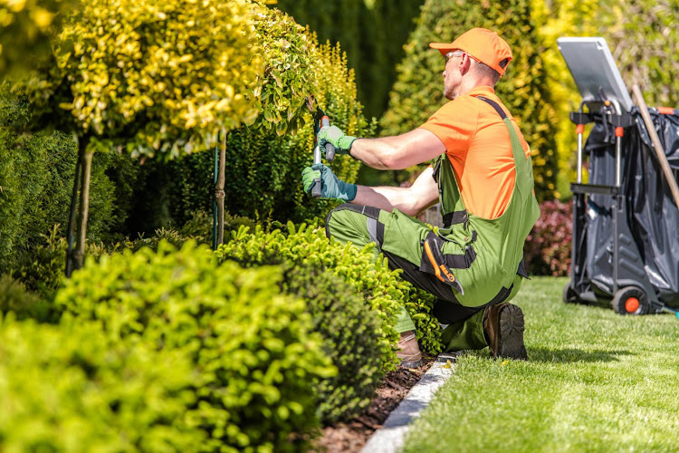 Deans Lawn Care LLC – Reliable Residential Lawn Care Maintenance Service Contractor South Lyon MI