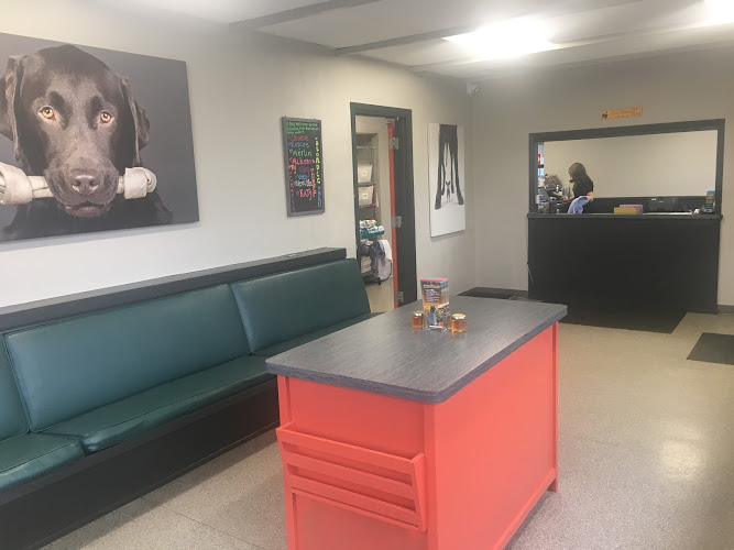 Easthaven Animal Hospital