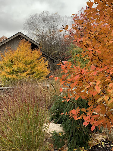 KC Runciman Landscapes