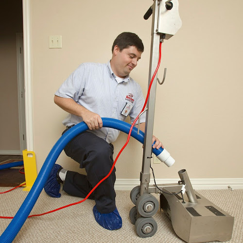 Rainbow International of Brighton