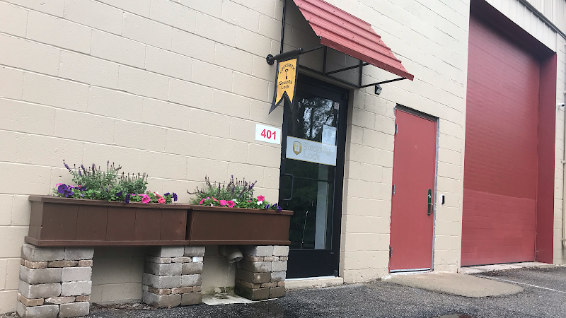 Security Lock & Alarm