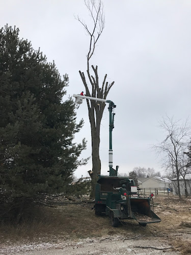 J&J Tree Trimming & Removal