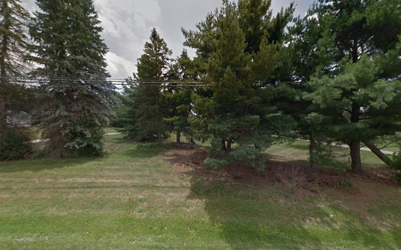 GreenVision Outdoor Services